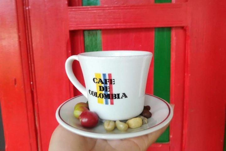 ココラ バレーとサレントでの 1 日プライベート コーヒー ツアー