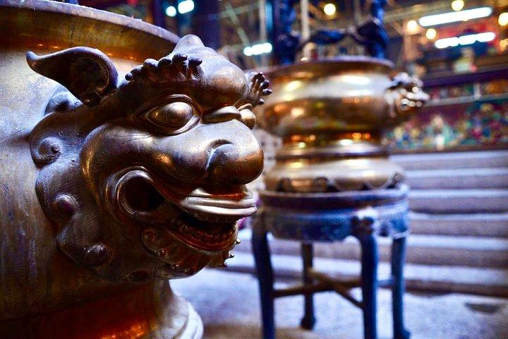 Hong Kong Discovery Tour med privat bil [5 timer]