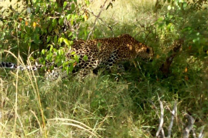 Safari privé d'une nuit à Maasai Mara