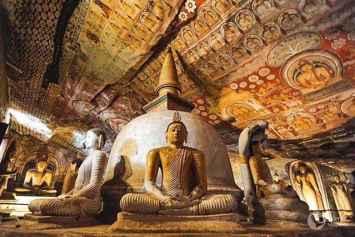 古代王国ツアー（ポロンナルワ、シギリヤ、カンディ）ホリデーウォーカースリランカ