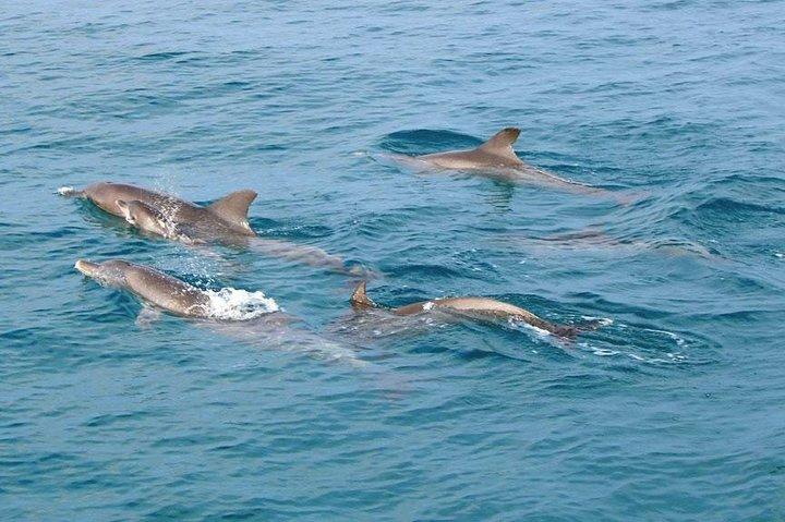 Surin Islands 3 Days 2 Nights Trip from Phuket