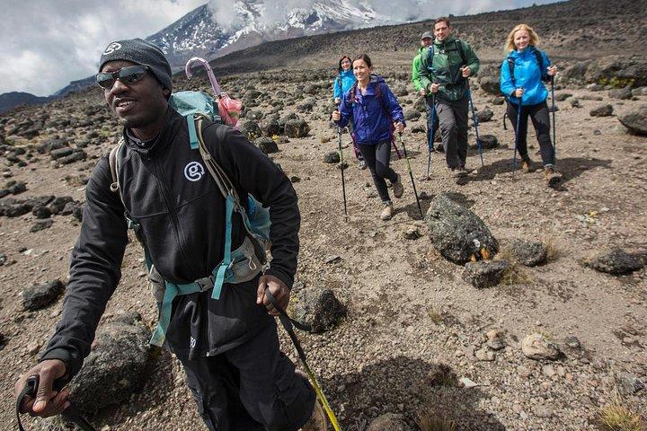 6 dagar Mount Kenya Klättring genom Chogoria Route