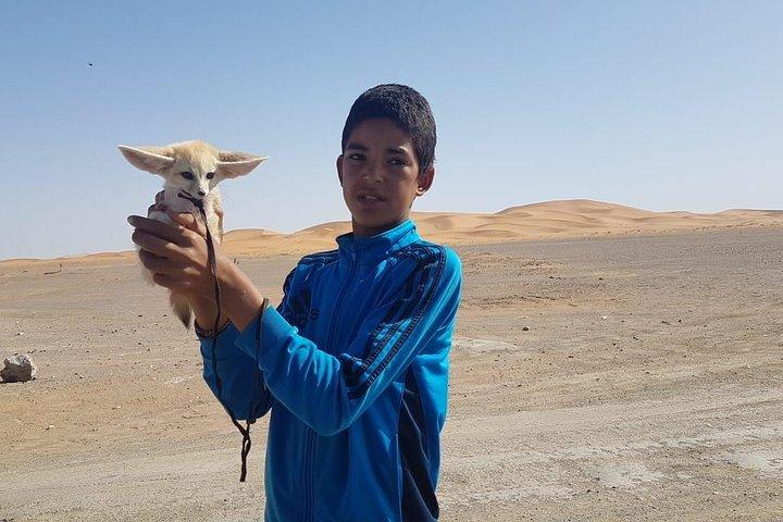 7 días: Casablanca a Chefchaouen, luego Fes y el desierto del Sahara - Camel Trekking