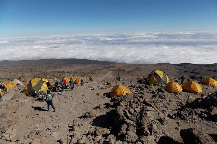 Lemoshoルートを登る10日間のキリマンジャロ山