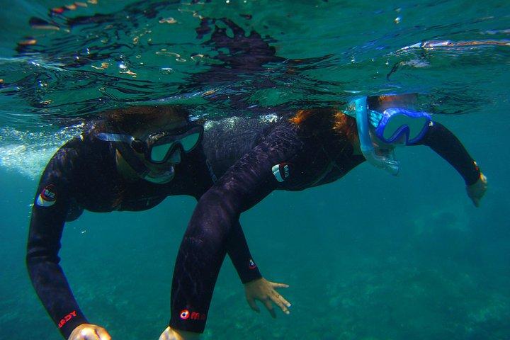 Snorkeling Tour with Sea Turtles and Stingrays