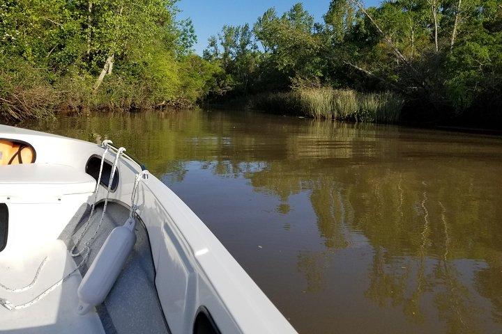 Excursión privada en barco al delta del Tigre