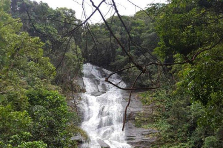 Tour privato della foresta di Tijuca con giardino botanico