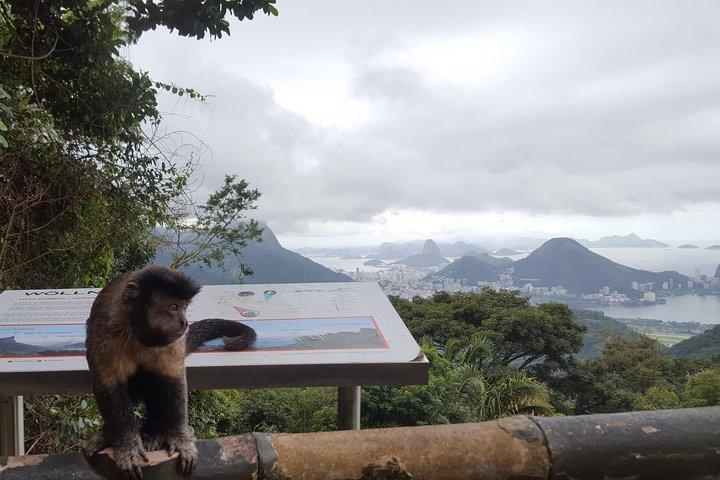 Top Tijuca Forest Private Tour mit Botanischem Garten