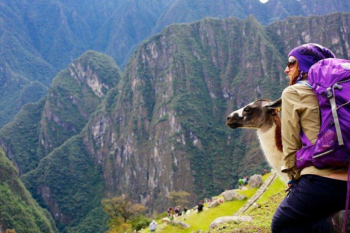 Machu Picchu Heldagstur