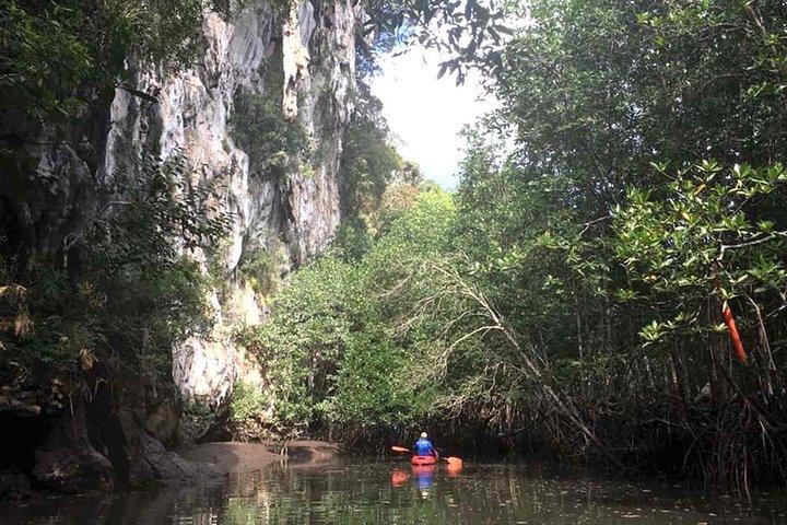 Tour en kayak por los profundos manglares y cañones en Krabi