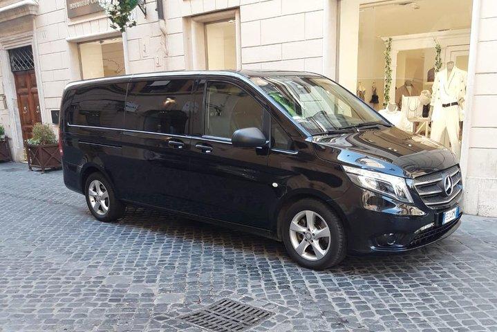 Rome Private Sightseeing Tour Driver + Car