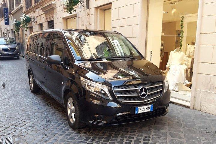 Rome Private Sightseeing Tour Driver + Car