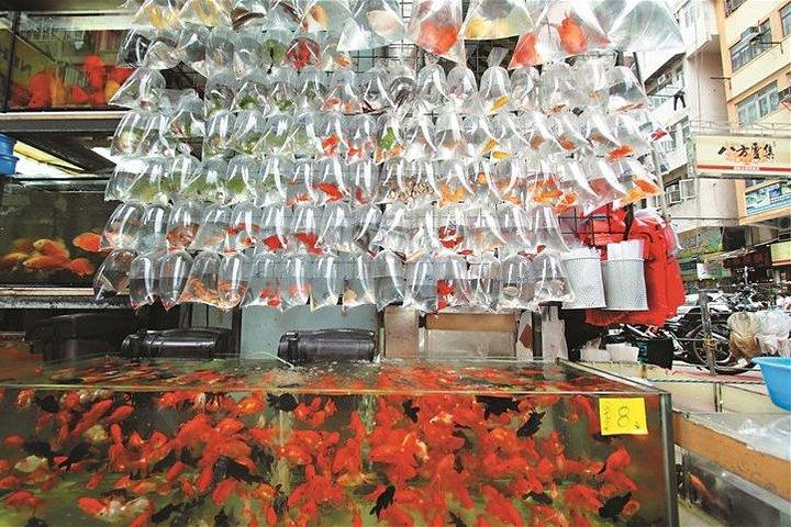 プライベート ウォーキング ツアー : 香港のローカル マーケット ホッパー