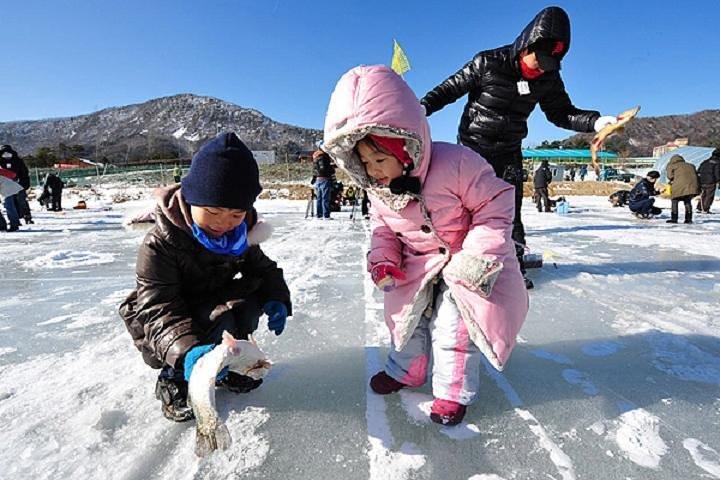 2D 1N Phoenix Pyeongchang Reseot Stay + Trout Ice-Fishing Festival Tour