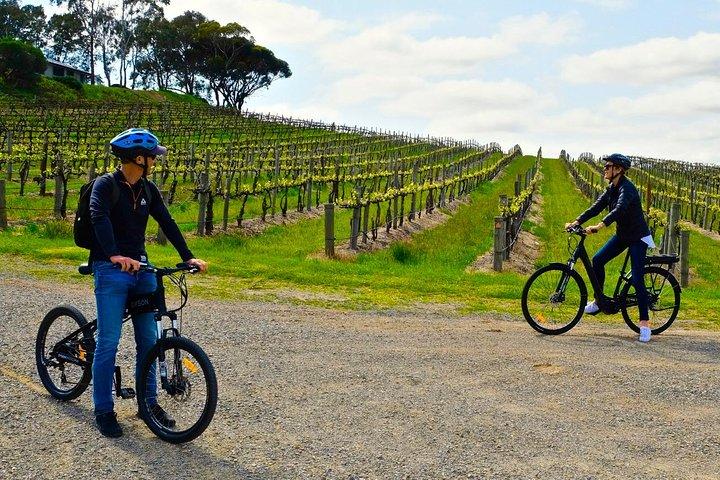 eBike でマクラーレン ベールを発見 - 1 日