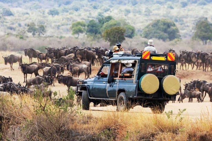 8 Days Ultimate Kenya Flying Safari Holiday