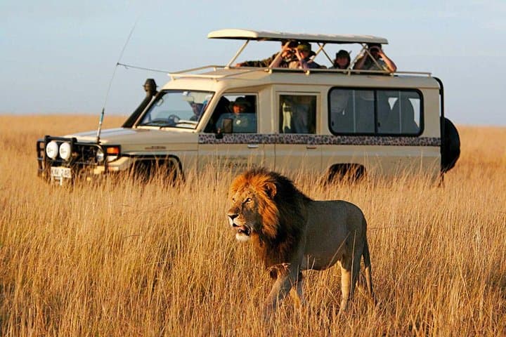 8 Days Ultimate Kenya Flying Safari Holiday