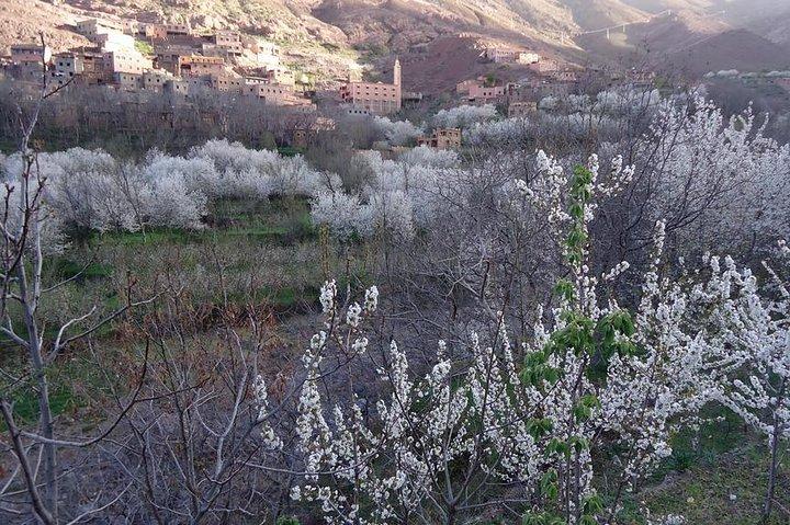 アトラス山脈とマラケシュからの4つの谷と滝の日帰り旅行