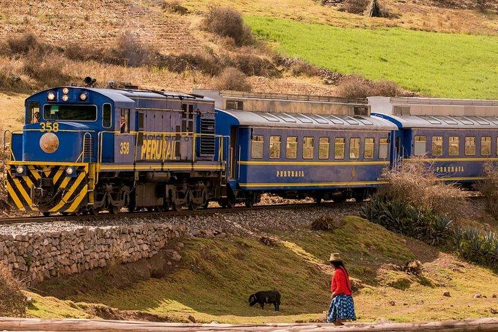 Excursion: Full Day Tour of Machu Picchu from Cusco
