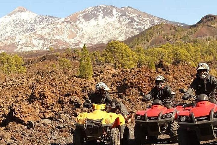 Quad adventure Forestal