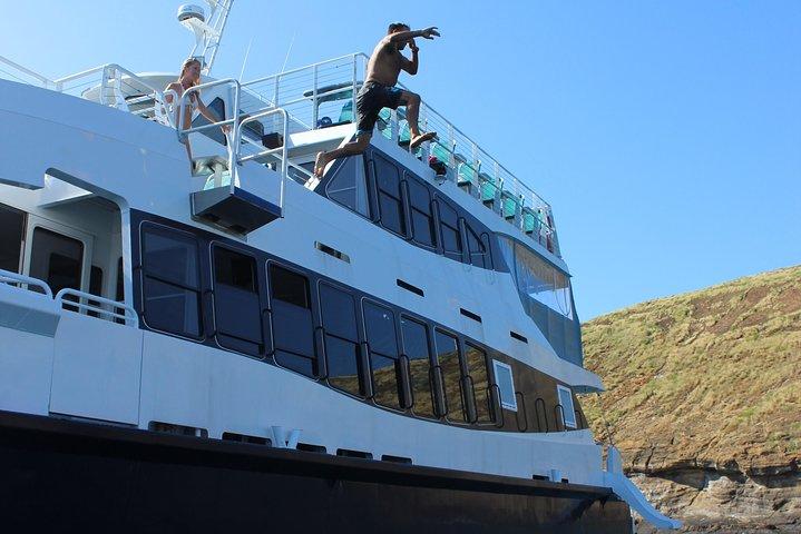 Schnorchelabenteuer von Ma'alaea Harbor nach Molokini