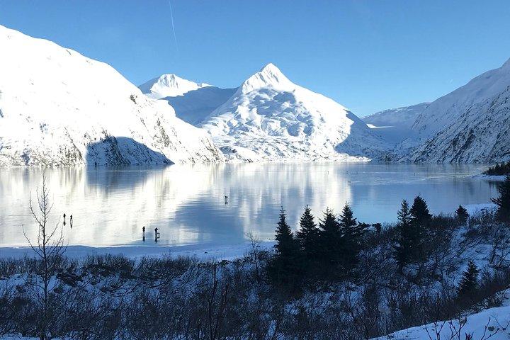 Alaska Wildlife Conservation Center & Turnagain Tour de braço