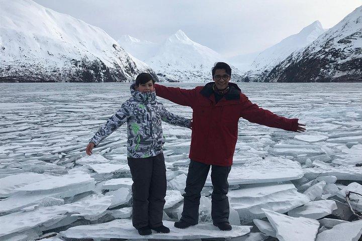 Alaska Wildlife Conservation Center & Turnagain Tour de braço