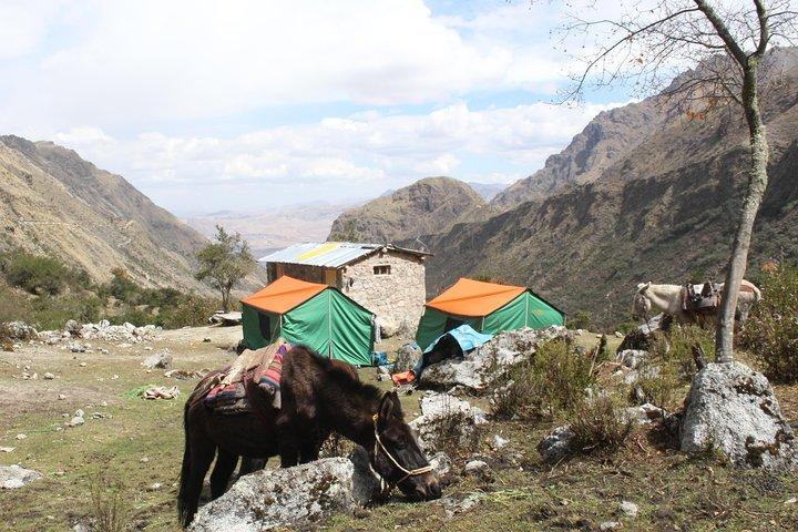 Lares Trek til Machu Picchu (4Days / 3Nights)