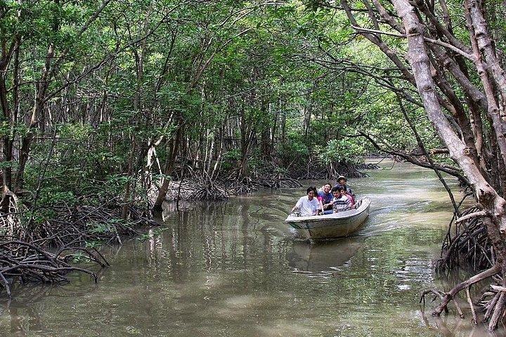 Wild Adventure: Private Can Gio Eco-Tour & Vida Selvagem