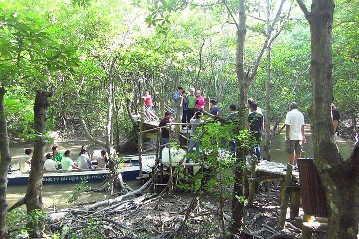 Wild Adventure: Private Can Gio Eco-Tour & Vida Selvagem