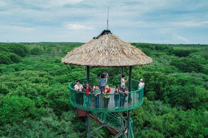 Wild Adventure: Private Can Gio Eco-Tour & Vida Selvagem