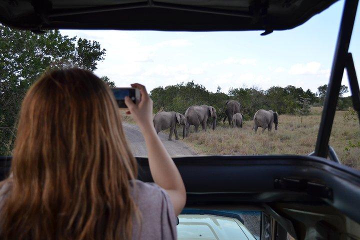 2 - Dag, 1 - Natt Ol Pejeta, Hjärtat av Noshörningen bevarande.
