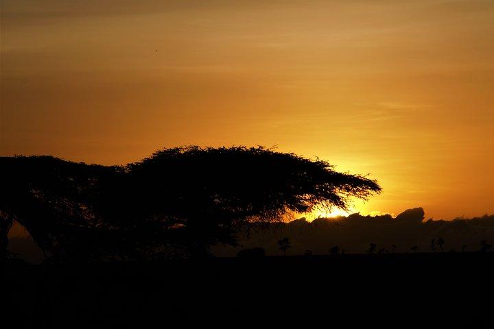 2 - Dag, 1 - Natt Ol Pejeta, Hjärtat av Noshörningen bevarande.