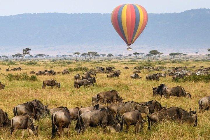 7 Tage Kenia Luxus Urlaub Safari