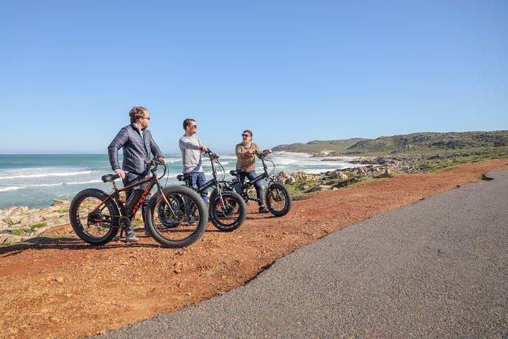 E-Bike Cape Peninsula Tour