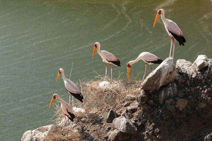 9 Days Best of Kenyan Tented Safari