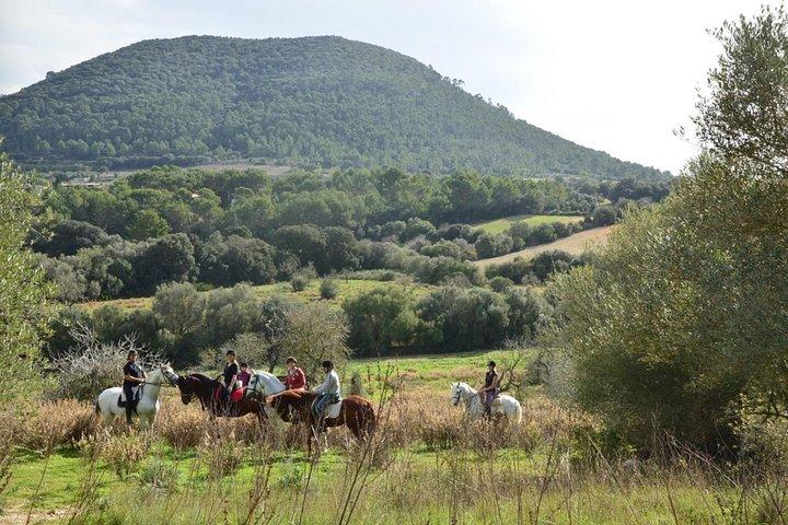 Passeggiate a cavallo nelle valli di Randa, Maiorca, Spagna