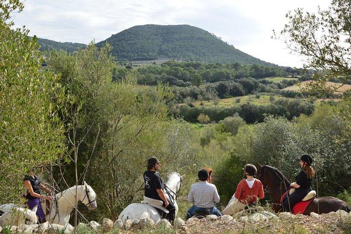 Ridning i Randa Valleys, Mallorca, Spanien