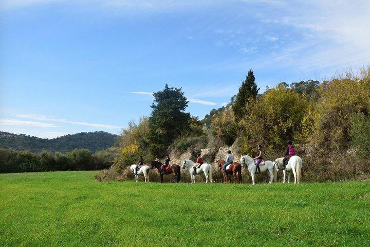 Ridning i Randa Valleys, Mallorca, Spanien