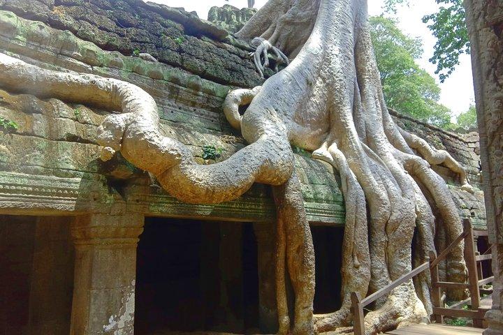 Volledige dagtempels van Angkor Complex + zonsondergang