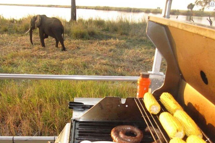 Ganztagesausflug nach Chobe ab Kasane, Botswana