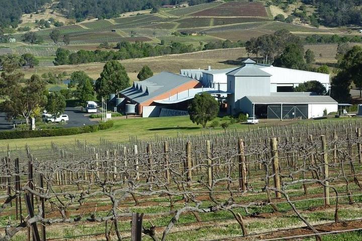 Il vero tour della Hunter Valley