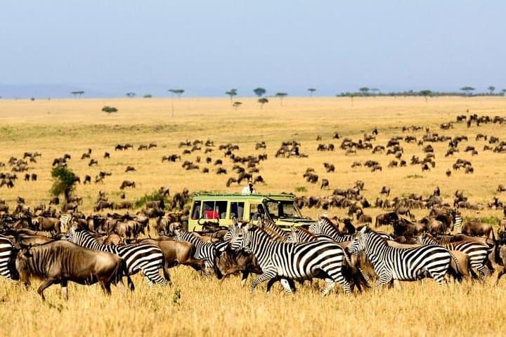 3 Days Camping Wildlife Safari in Kenya