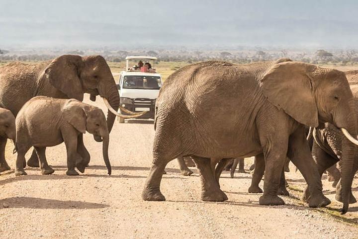 6 giorni Kenya Safari Masai Mara, Lago Nakuru e Lago Baringo / Bogoria.