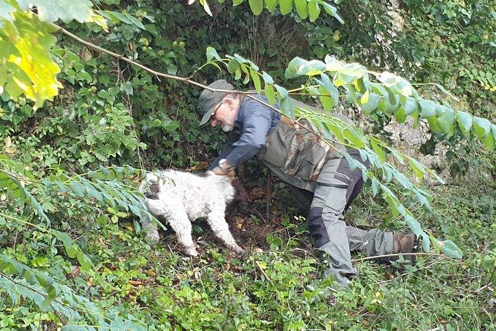 Chasse aux truffes, Déjeuner, Équitation, une demi-journée au top près de Florence