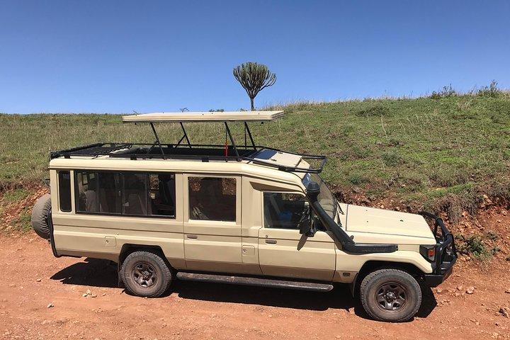 6 dage Mount Kenya, Aberdare, Bogoria-søen, Baringo, Lake Nakuru, Masai Mara