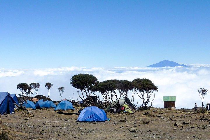 6 Days Mount Kenya Hiking- Chogoria Route