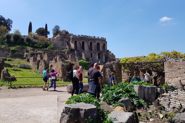 Rome Imperial Past Colosseum, Forum and Palatine Tour