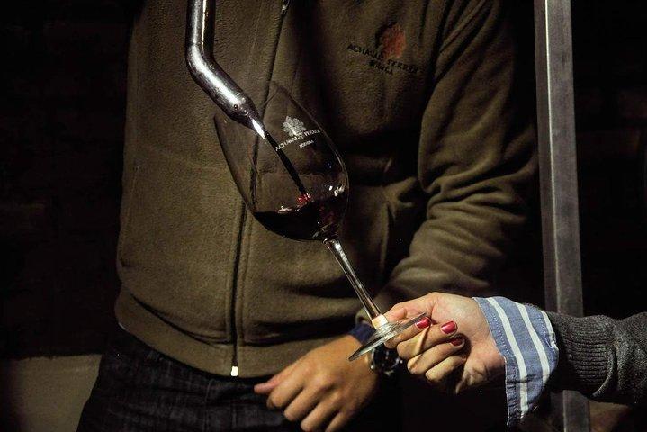 Tour per piccoli gruppi 3 cantine a Luján de Cuyo o Maipú con pranzo