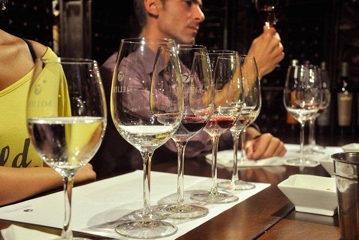 Tour per piccoli gruppi 3 cantine a Luján de Cuyo o Maipú con pranzo